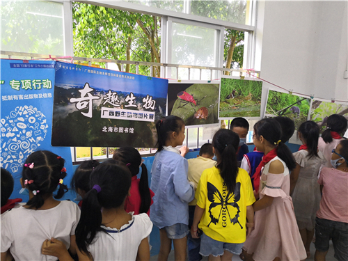 图片 15.jpg