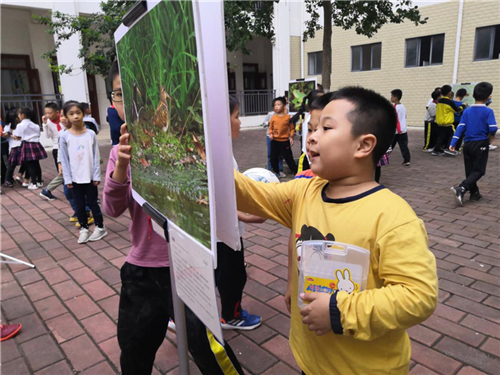 图片21.jpg