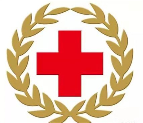 珠城大讲坛——“红十字应急救护 护巾帼”活动