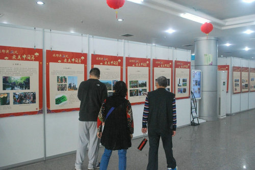 图片7.jpg