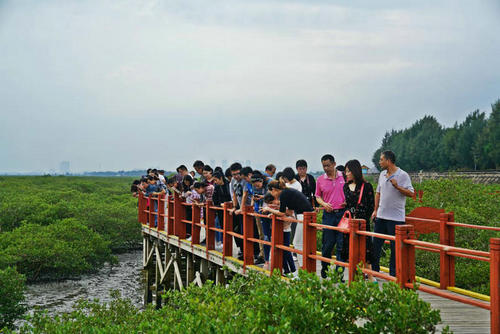 图片28.jpg